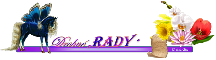 rady.png